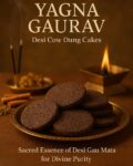 Yagna Gaurav ( Cow dung upla for Dhoopana and Yagna) 12 pieces